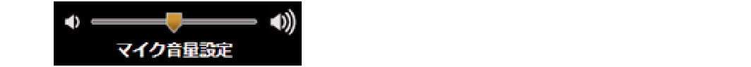 SV28_Microphone volume